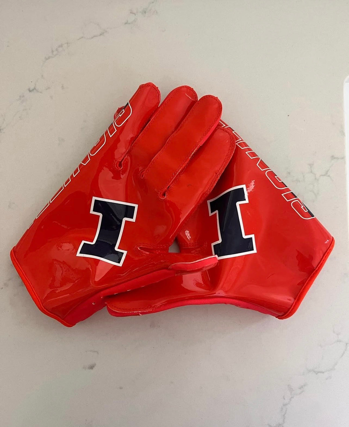 ILLINOIS GLOVES