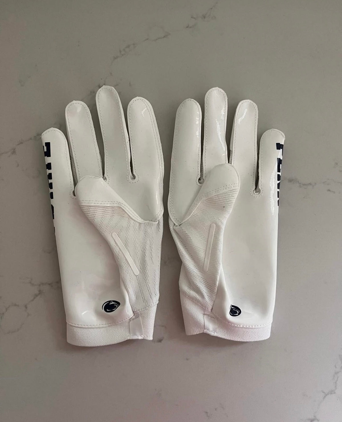 PENN STATE GLOVES
