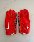 ILLINOIS GLOVES